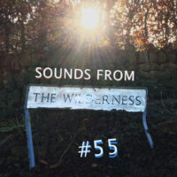 #55 Sounds from the Wilderness 17 July 2022