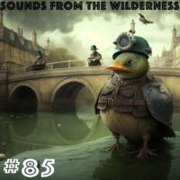 #85 Sounds From The Wilderness 02 April 2023