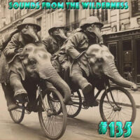 #135 Sounds From The Wilderness 28 April 2024