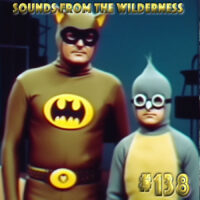 #138 Sounds From the Wilderness 26 May 2024