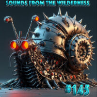 #145 Sounds From The Wilderness 04 August 2024