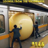 #146 Sounds From The Wilderness 04 August 2024