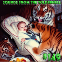 #149 Sounds From The Wilderness 08 September 2024