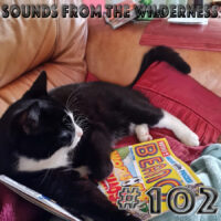 #102 Sounds From The Wilderness 06 August 2023