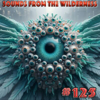 #125 Sounds From The Wilderness 04 Feb 2024