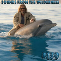 #159 Sounds From The Wilderness 29 December 2024