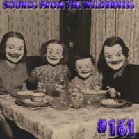 #161 Sounds From The Wilderness 19 January 2025