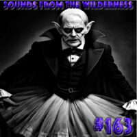 #163 Sounds From The Wilderness 09 Feb 2025